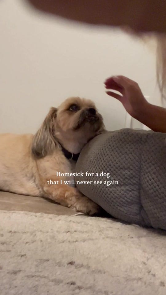 Post 1 by Carly Doyle on TikTok (video)