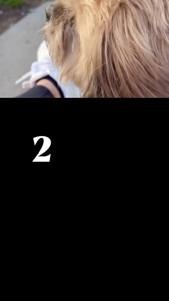 Post 4 by Carly Doyle on TikTok (video)