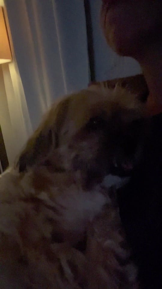Post 8 by Carly Doyle on TikTok (video)