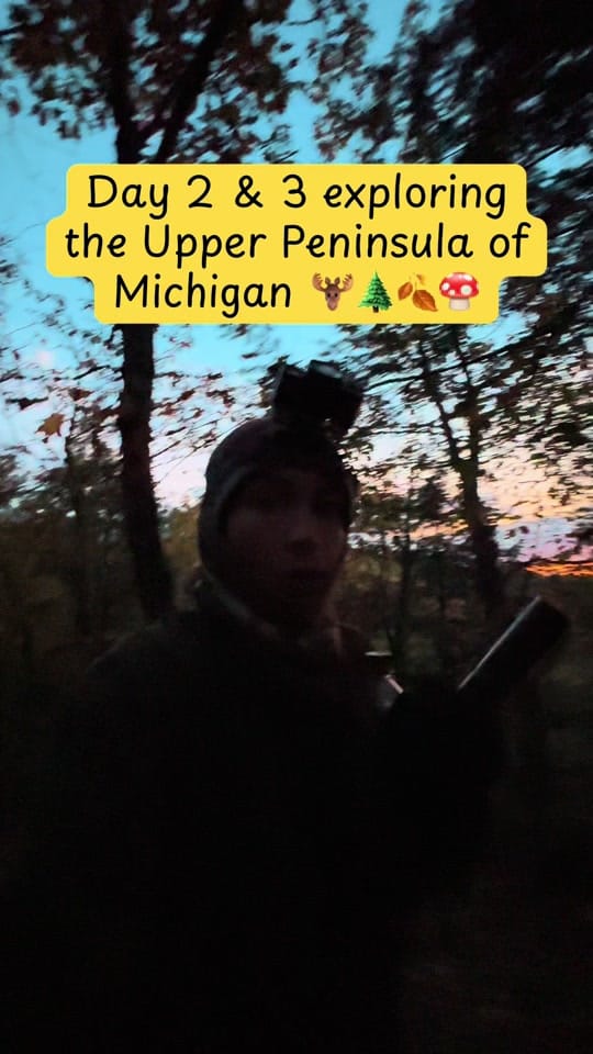 Post 5 by whit on TikTok (video)