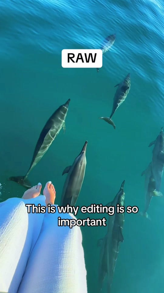 Post 5 by Nicole 🦋 || Travel on TikTok (video)