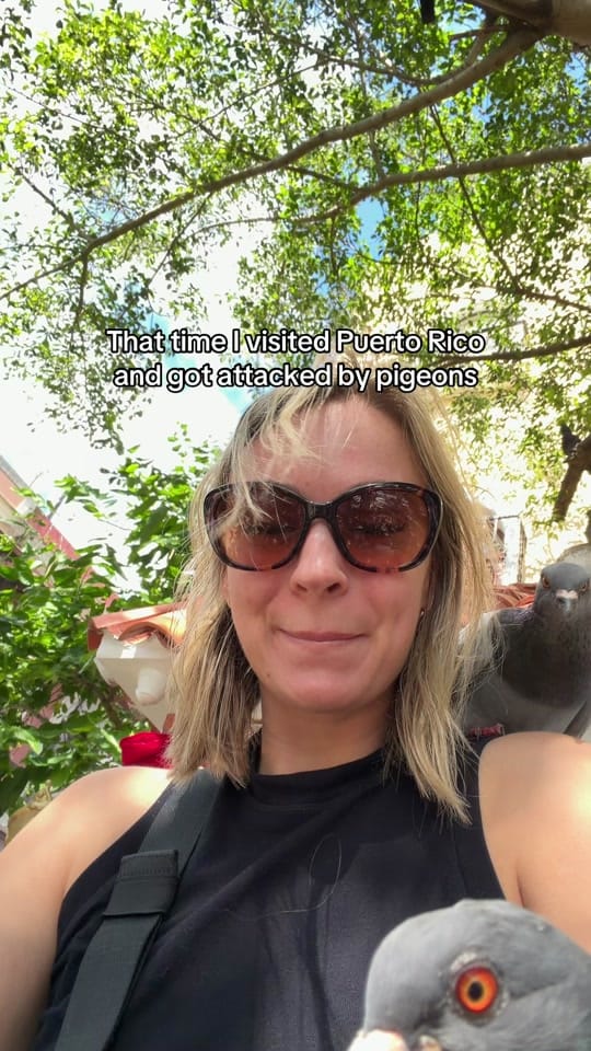 Post 8 by Nicole 🦋 || Travel on TikTok (video)
