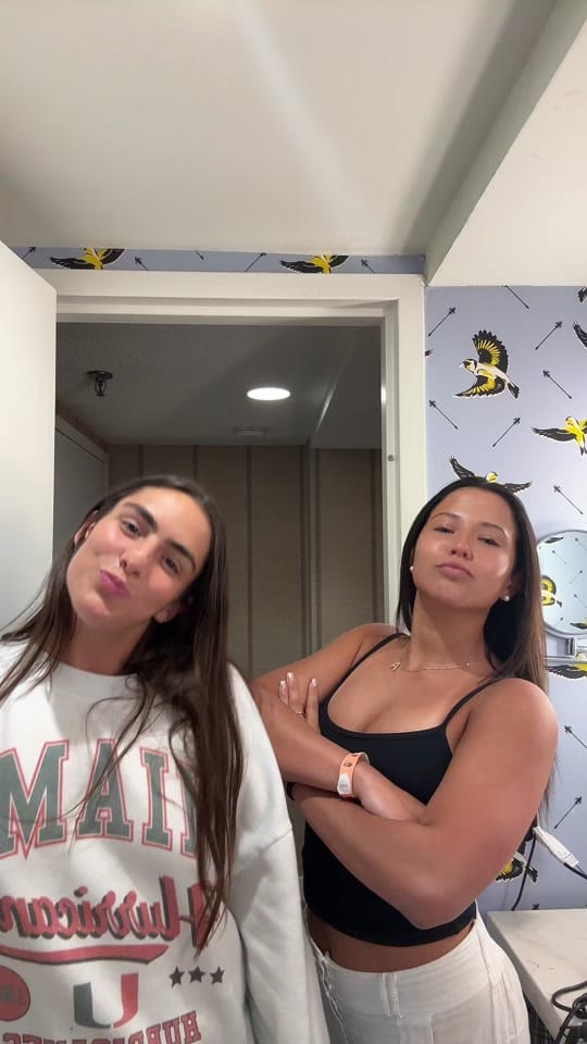 Post 1 by Alanysviera on TikTok (video)