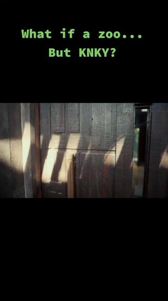 Post 1 by KNKY RABBIT CLUB on TikTok (video)