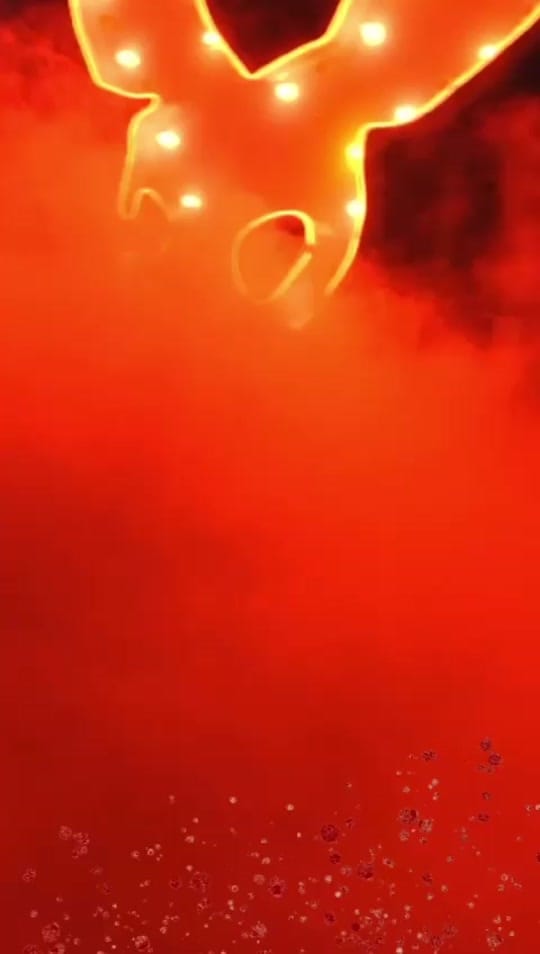 Post 9 by KNKY RABBIT CLUB on TikTok (video)