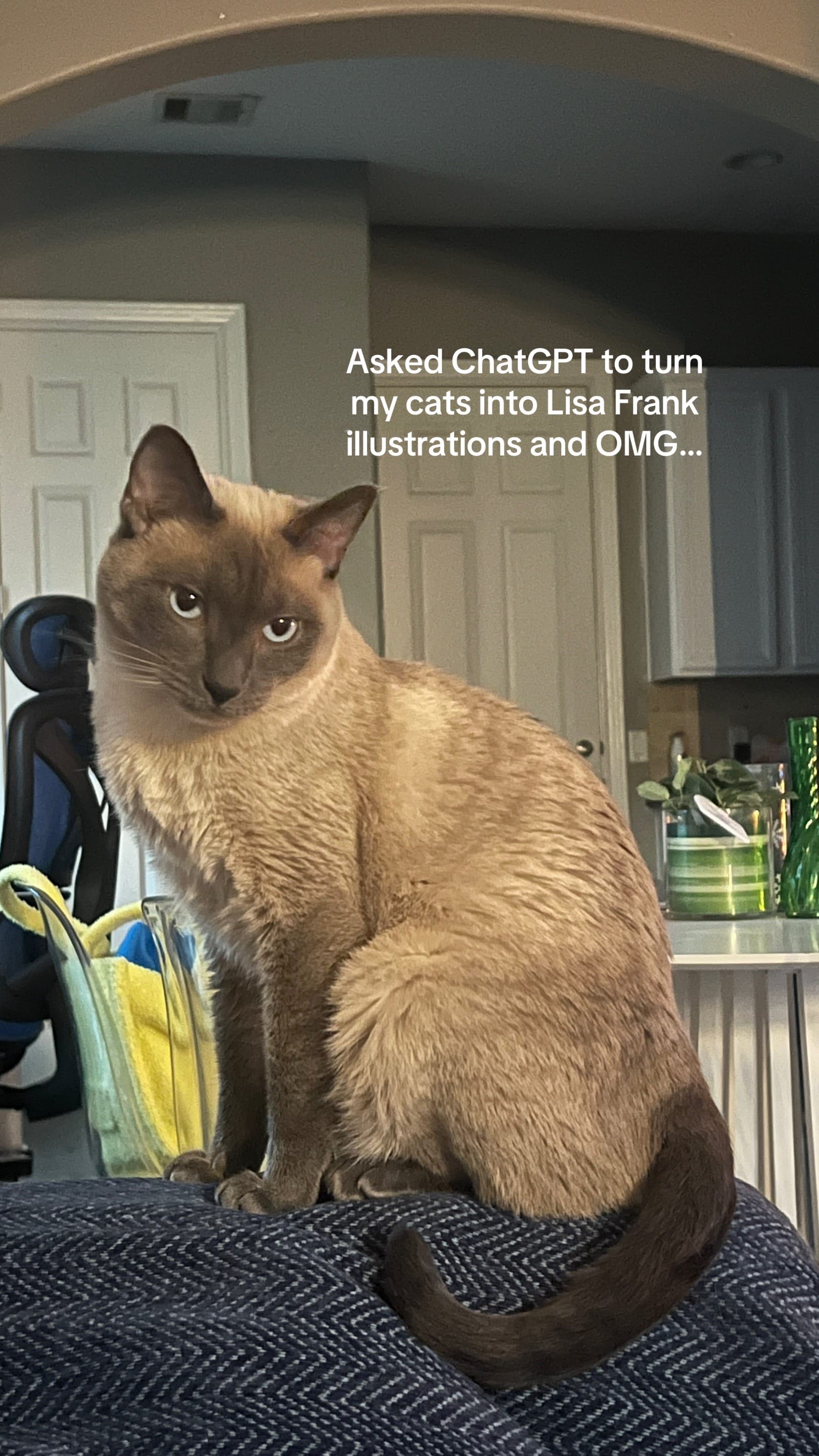 Post 6 by Coco on TikTok (video)