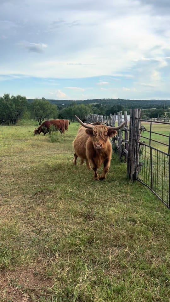 Post 4 by Brynlee Goodson on TikTok (video)