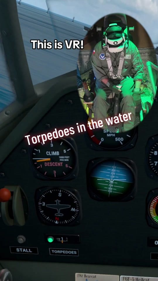 Post 3 by Jakes VR Flight Sim on TikTok (video)