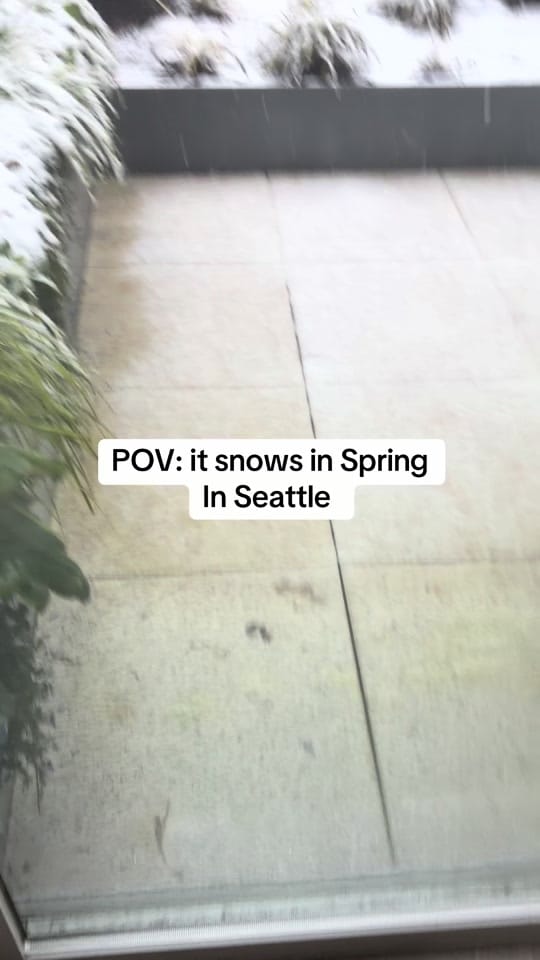 Post 1 by ASimi|Seattle Content Creator on TikTok (video)