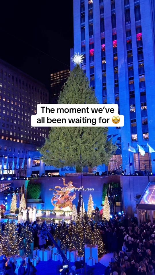 Post 3 by sincerelymaureen on TikTok (video)