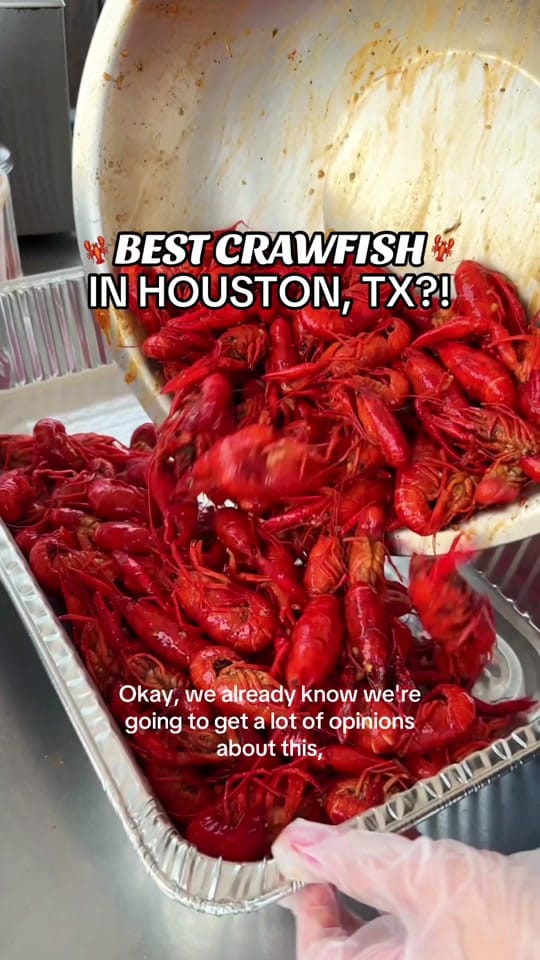 Post 3 by Houston Hotspots on TikTok (video)