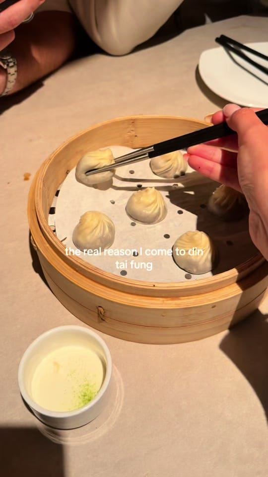 Post 5 by laurenashllleyy_ on TikTok (video)