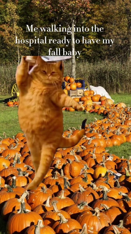Post 2 by FloridaFitBrit on TikTok (video)