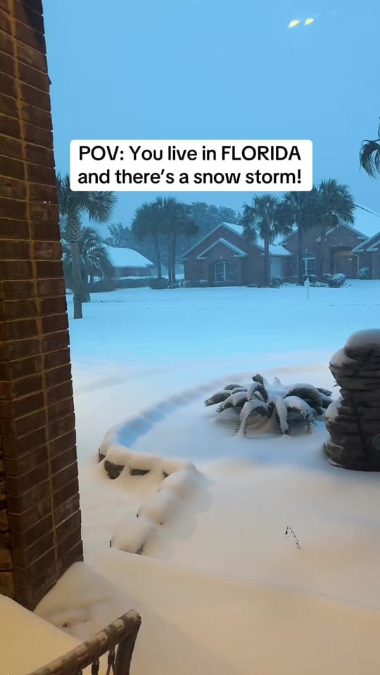 Post 6 by FloridaFitBrit on TikTok (video)