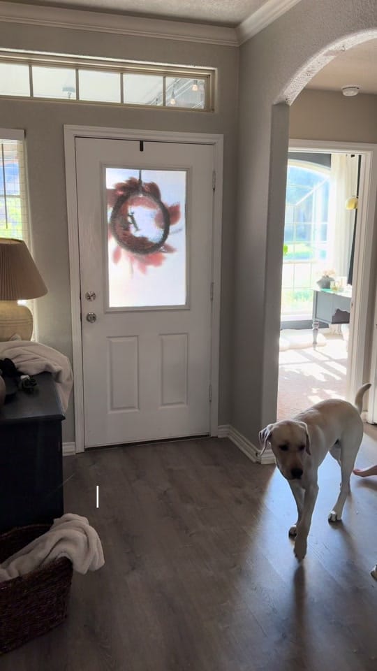 Post 4 by emtx512 on TikTok (video)