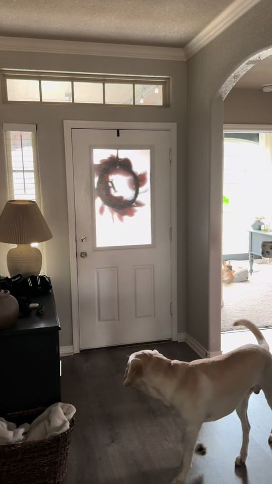 Post 8 by emtx512 on TikTok (video)