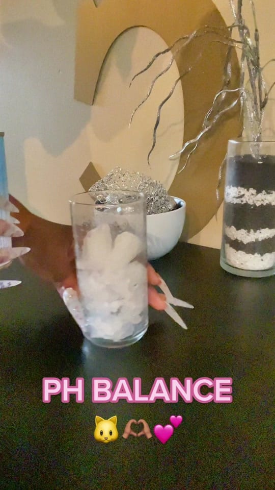 Post 9 by Chanel Nicole 🫧🎸 on TikTok (video)