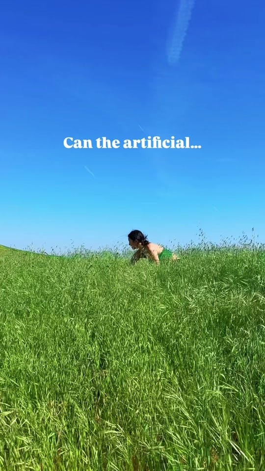 Post 5 by Brendan North on TikTok (video)