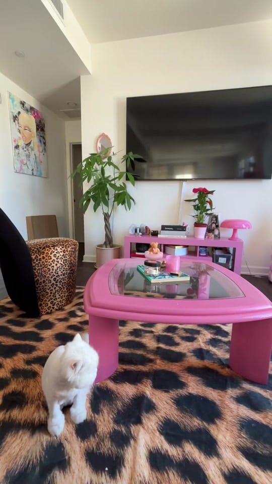Post 5 by adrianasahar on TikTok (video)