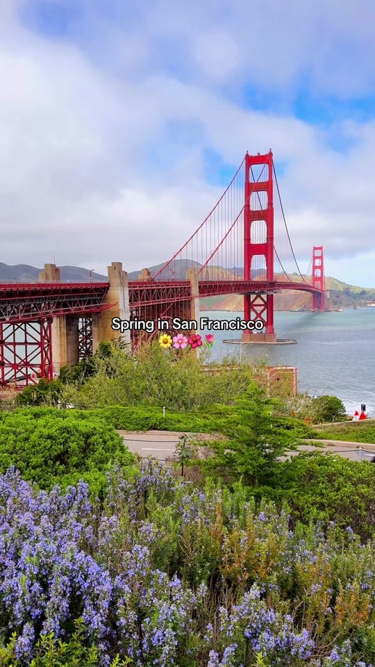 Post 4 by Lisarosaa | California&Travel on TikTok (video)