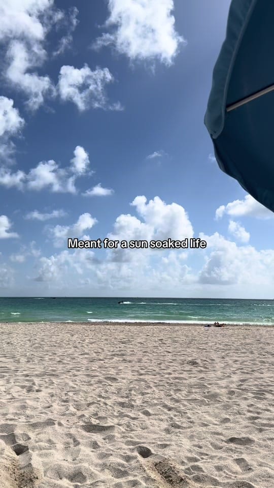 Post 5 by The Socialite Files on TikTok (video)
