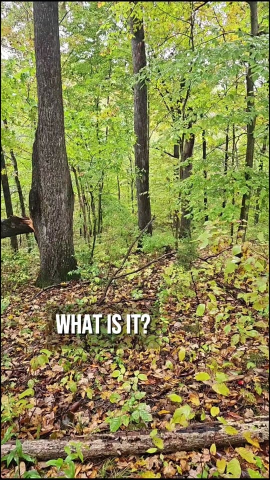 Post 7 by Katelyn Armstrong on TikTok (video)