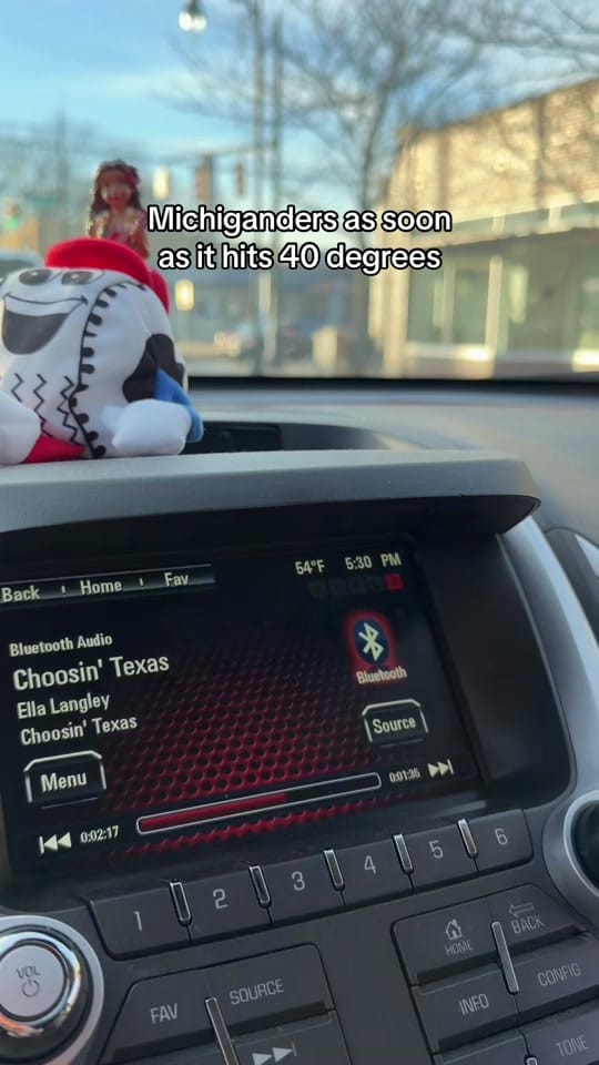 Post 5 by The Wandering Michigander on TikTok (video)