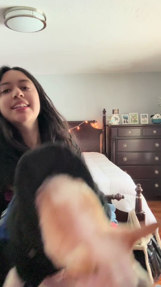 Post 4 by Valentina⭐️ on TikTok (video)