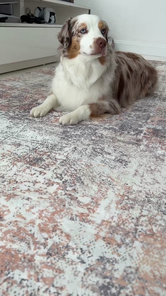 Post 2 by Busraalya on TikTok (video)