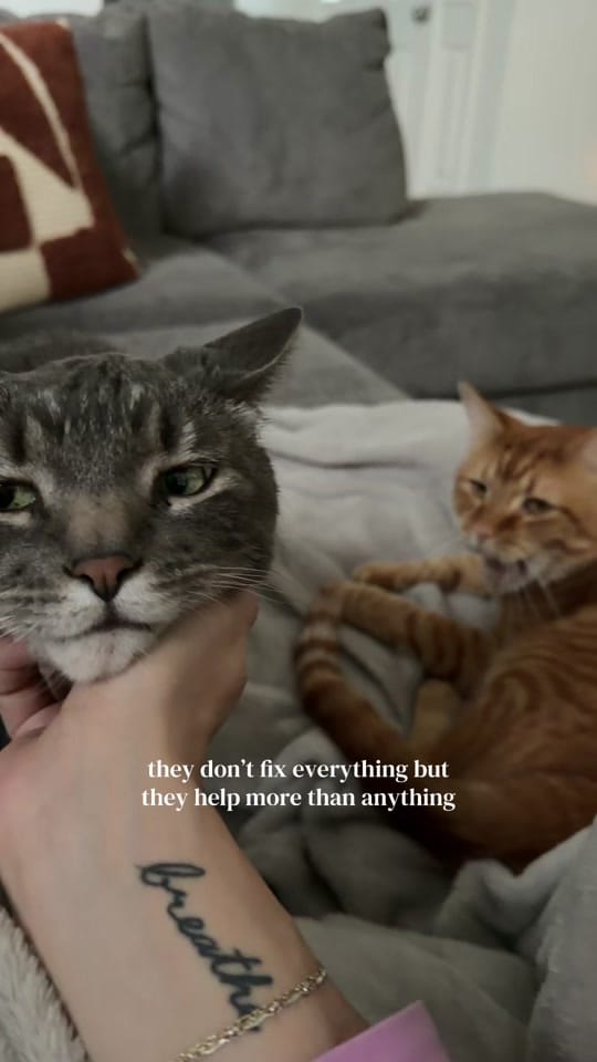 Post 5 by jessica howell on TikTok (video)