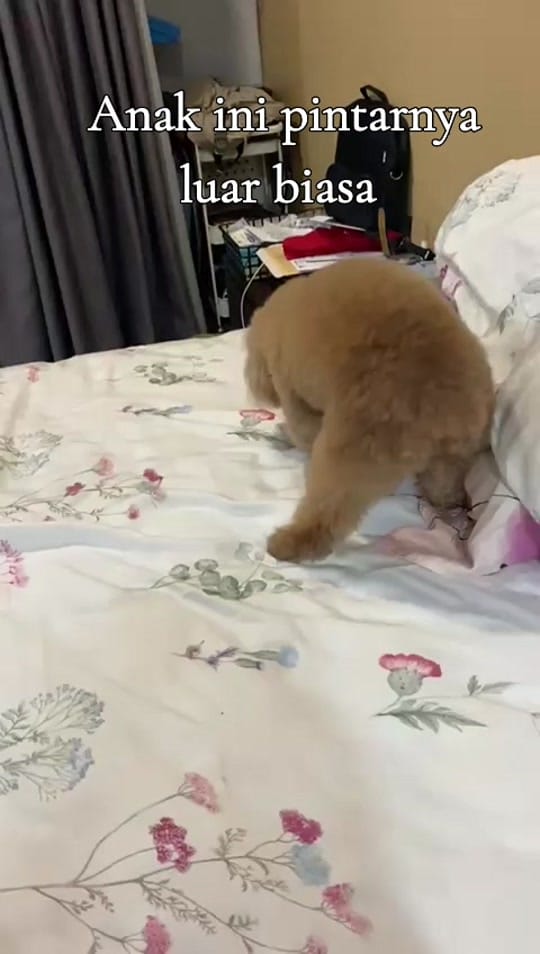 Post 4 by Sandi ATM on TikTok (video)