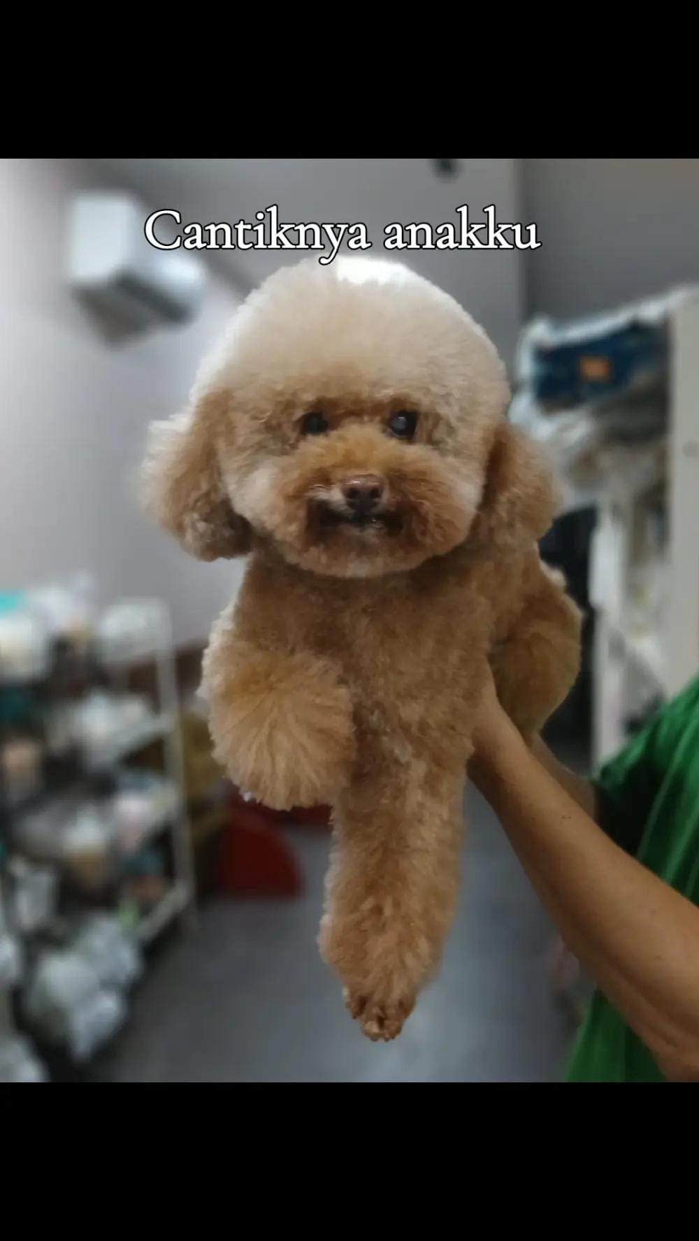 Post 10 by Sandi ATM on TikTok (video)
