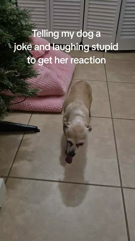 Post 6 by Shawndra on TikTok (video)