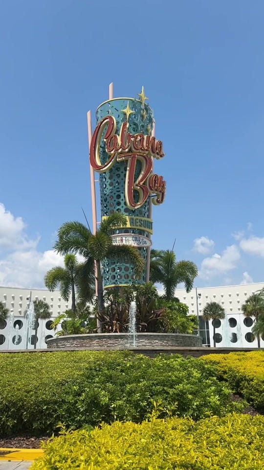 Post 8 by dayanakafernaoui 🪩 on TikTok (video)