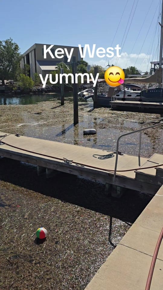 Post 5 by LAND BIGHTS on TikTok (video)