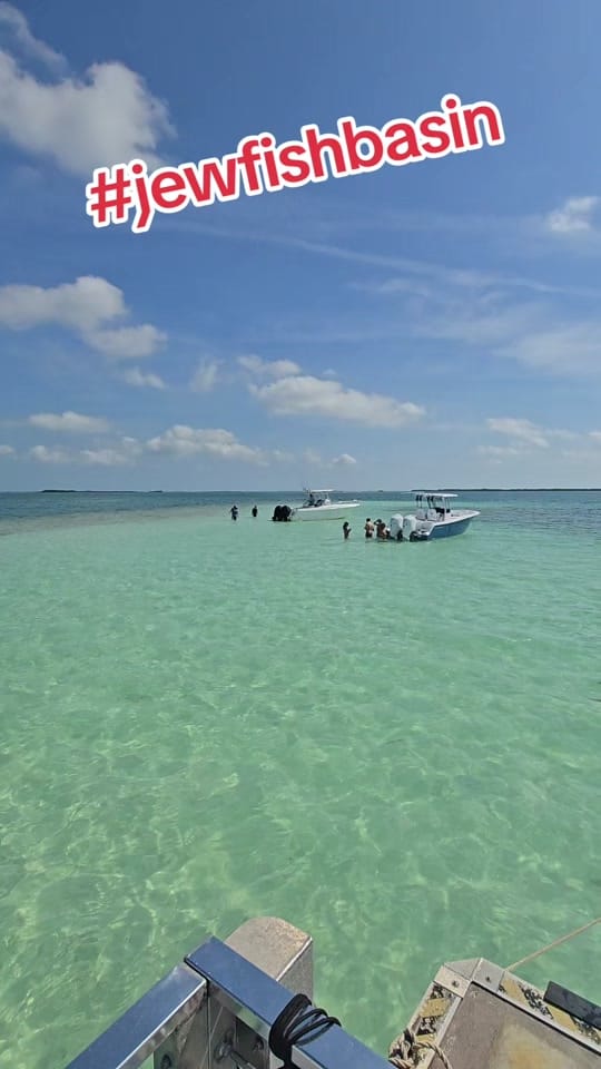 Post 2 by LAND BIGHTS on TikTok (video)
