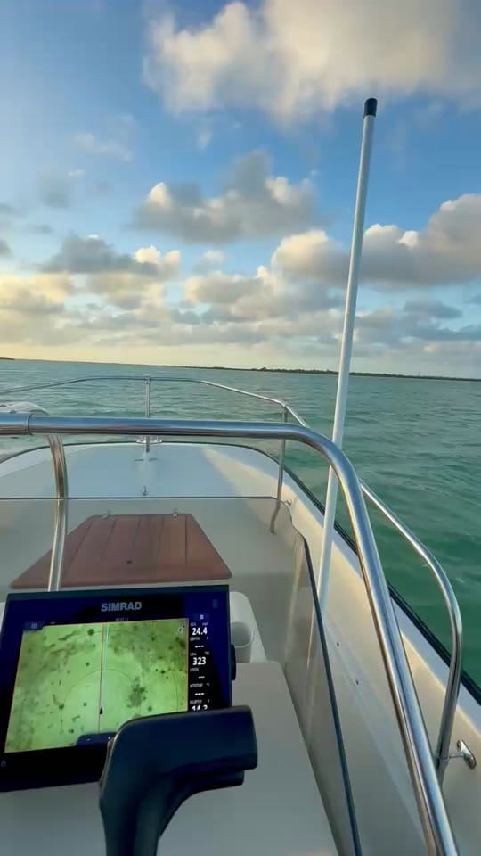 Post 8 by LAND BIGHTS on TikTok (video)