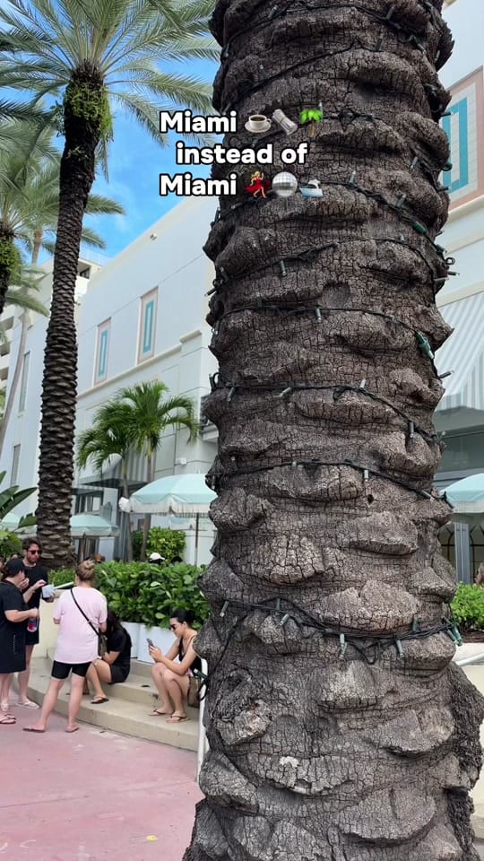 Post 4 by Raven | Lattes N Luggage on TikTok (video)