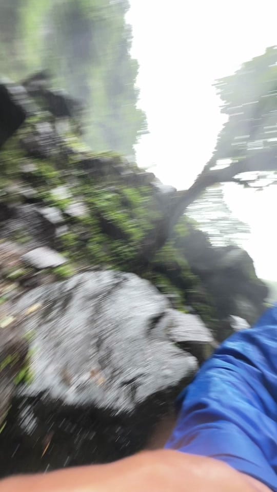 Post 10 by Tim Horee on TikTok (video)