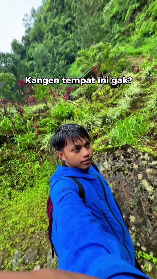 Post 1 by Tim Horee on TikTok (video)