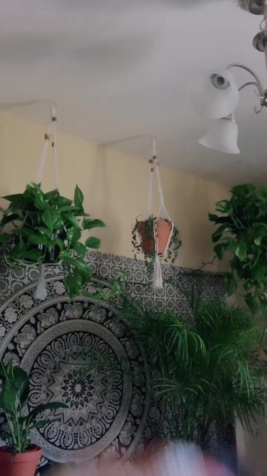 Post 9 by Natalya Shay on TikTok (video)