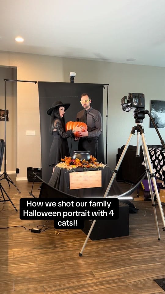 Post 3 by The Cattams Family on TikTok (video)
