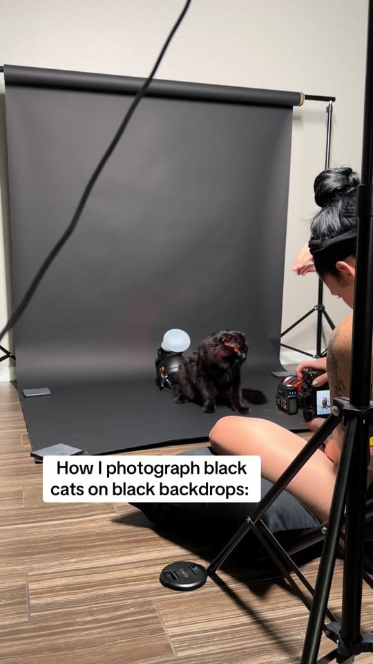 Post 7 by The Cattams Family on TikTok (video)
