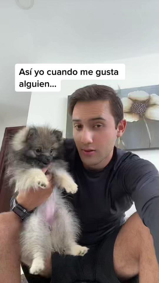 Post 7 by Leo Lun on TikTok (video)
