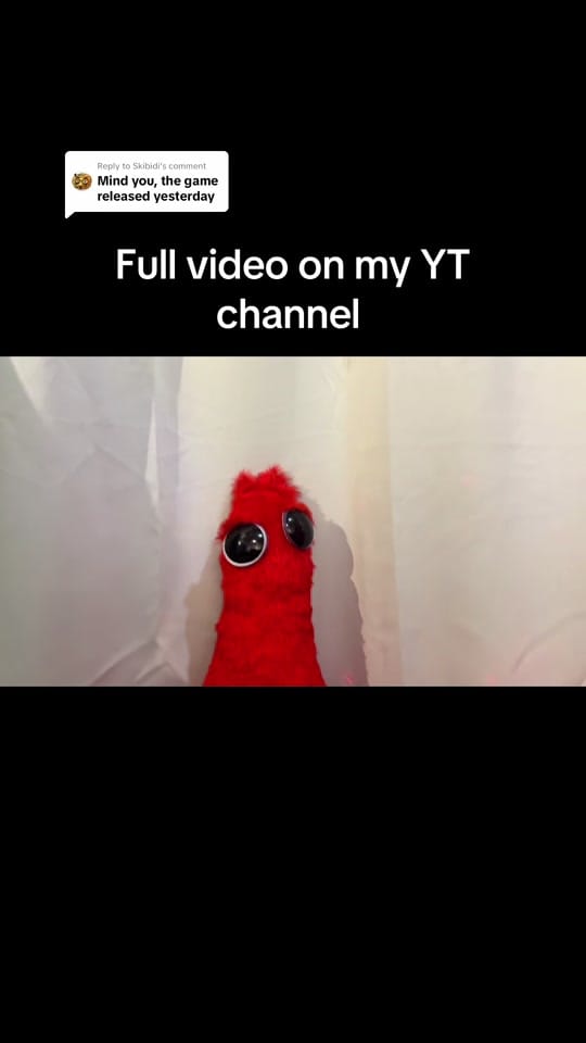 Post 3 by Jersey Virago on TikTok (video)