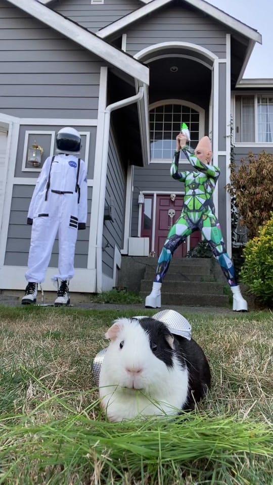 Post 10 by Jersey Virago on TikTok (video)