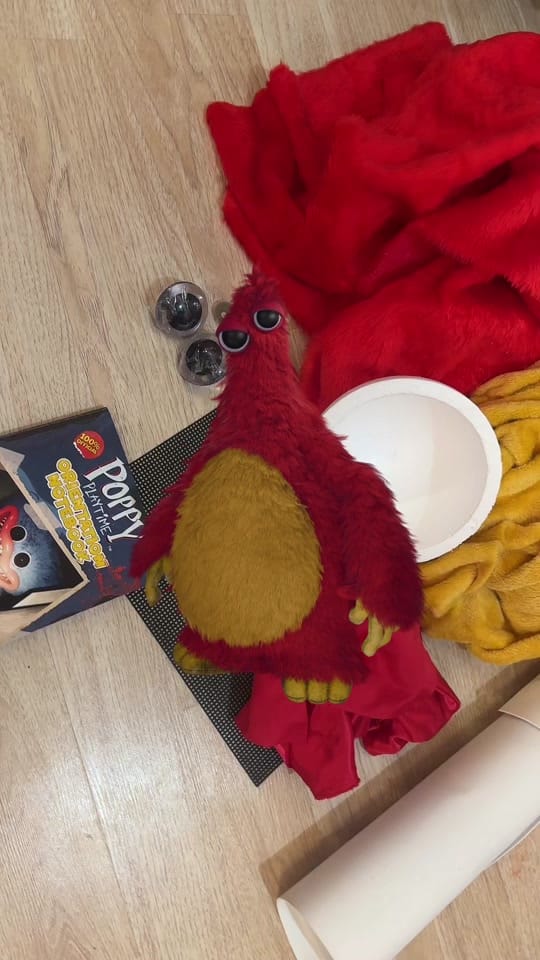 Post 6 by Jersey Virago on TikTok (video)