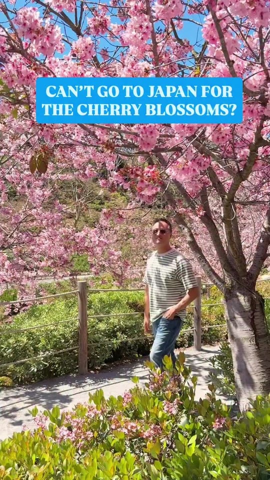 Post 1 by Henry Wu on TikTok (video)