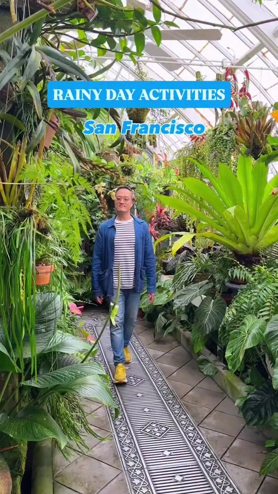Post 9 by Henry Wu on TikTok (video)