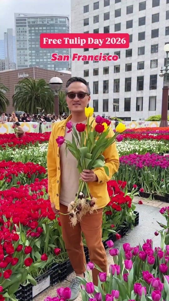 Post 5 by Henry Wu on TikTok (video)